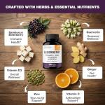 Elderberry Vitamin C Zinc Immune Support Capsules