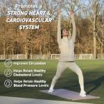 CocoaVia Dark Chocolate Fitness Cocoa Powder