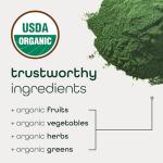 Zena Organic Super Greens Powder - 30 Packets