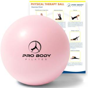 ProBody Pilates Ball - 22.9 cm Stability Ball