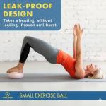 ProBody Pilates Ball - 22.9 cm Stability Ball