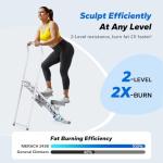 MERACH Compact Vertical Climber for Full-Body Workout