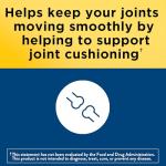 Joint Support Glucosamine Chondroitin with MSM, 120 Caplets