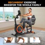 Whisper-Quiet Recumbent Exercise Bike for Home