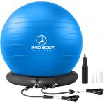 ProBody Yoga Ball Chair for Home Fitness