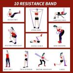 WHATAFIT Resistance Bands for Strength Training