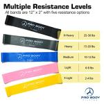 ProBody Pilates Home Workout Bundle with Accessories