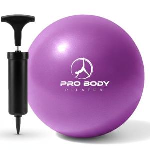 Small Pilates Exercise Ball with Pump - 9 Inch