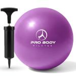 Small Pilates Exercise Ball with Pump - 9 Inch