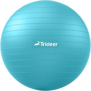 Trideer Ball Chair Yoga Ball Chair Exercise Ball Chair with Base for Home Office Desk, Stability Ball & Fitness Ball Seat to Relieve Back Pain, Home Gym Workout Ball for Abs, Pregnancy Ball with Pump