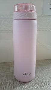 Stainless Steel 22oz Water Bottle with Straw