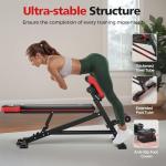 FLYBIRD 3 in 1 Workout Bench, Roman Chair, Weight Bench and Sit Up Bench for Hyper Back Extension and Full Body Workout with Handle, Abdomen core and Comprehensive Glute Training, Easy Moving wilth Wheels Home Gym Equipment