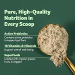 Organic Green Powder Smoothie Mix - 24 Servings