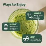 Organic Green Powder Smoothie Mix - 24 Servings