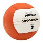 Champion Sports 6 lb Soft Shell Slam Ball