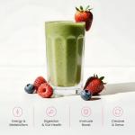 NutraChamps Super Greens Powder with Berry Flavor