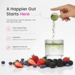 NutraChamps Super Greens Powder with Berry Flavor