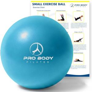 ProBody Mini Pilates Stability Ball for Home Use