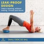 ProBody Mini Pilates Stability Ball for Home Use