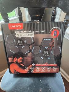 Smart Bluetooth Music Boxing Machine with Gloves