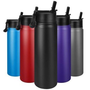 Insulated Stainless Steel Water Bottle with Straw