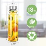 GoldArea 18oz Glass Water Bottle - 2 Pack