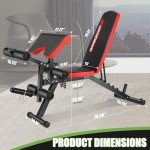 Adjustable Weight Bench for Full Body Workouts