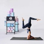 Versatile Home Gym Storage Rack on Wheels