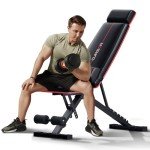 Adjustable Weight Bench with Lumbar Support for Home Gym