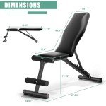 Adjustable Weight Bench for Full Body Workouts