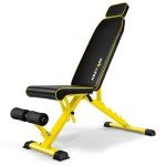 Adjustable Weight Bench for Home Gym Workouts