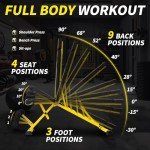 Adjustable Weight Bench for Home Gym Workouts