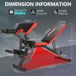 800LBS Adjustable Multifunctional Weight Bench Set