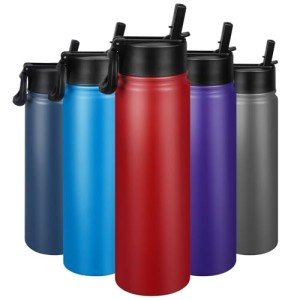 Insulated Stainless Steel Water Bottle with Straw