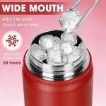 Insulated Stainless Steel Water Bottle with Straw