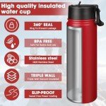 Insulated Stainless Steel Water Bottle with Straw