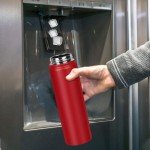 Insulated Stainless Steel Water Bottle with Straw