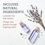 Extra-Large Lavender Scent Fitness Equipment Wipes