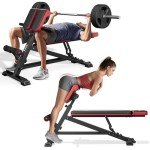 FLYBIRD 3 in 1 Workout Bench, Roman Chair, Weight Bench and Sit Up Bench for Hyper Back Extension and Full Body Workout with Handle, Abdomen core and Comprehensive Glute Training, Easy Moving wilth Wheels Home Gym Equipment
