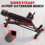 FLYBIRD 3 in 1 Workout Bench, Roman Chair, Weight Bench and Sit Up Bench for Hyper Back Extension and Full Body Workout with Handle, Abdomen core and Comprehensive Glute Training, Easy Moving wilth Wheels Home Gym Equipment