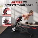 FLYBIRD 3 in 1 Workout Bench, Roman Chair, Weight Bench and Sit Up Bench for Hyper Back Extension and Full Body Workout with Handle, Abdomen core and Comprehensive Glute Training, Easy Moving wilth Wheels Home Gym Equipment