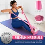 WALITO Resistance Bands for Working Out, Exercise Bands for Women and Men, Workout Bands for Physical Therapy, Stretch, Recovery, Pilates, Rehab, Strength Training and Home Gym