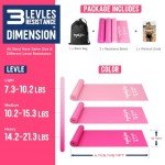 WALITO Resistance Bands for Working Out, Exercise Bands for Women and Men, Workout Bands for Physical Therapy, Stretch, Recovery, Pilates, Rehab, Strength Training and Home Gym