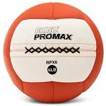 Champion Sports 6 lb Soft Shell Slam Ball