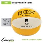 Champion Sports Weighted Medicine Balls, 6-7 lbs