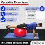 Blue 11.8” Inflatable Stability Exercise Ball