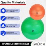 Blue 11.8” Inflatable Stability Exercise Ball