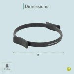 Balanced Body Flex Ring Toner, Workout Hoop with Standard Handles, Pilates Workout Equipment, Pilates Ring Circle for Home Gym or Studio Use