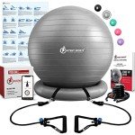 Yoga Ball Chair with Resistance Bands – 65 cm