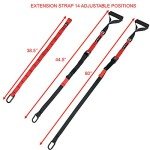 Valor Fitness VFX 3.0 Training Straps